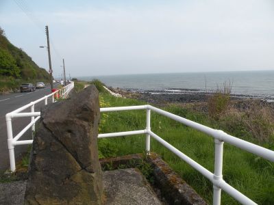 20160510_026.JPG
