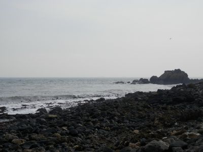 20160510_041.JPG