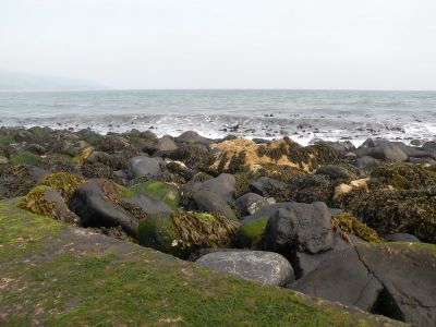 20160510_044.JPG