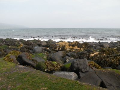 20160510_045.JPG