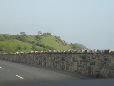 20160510_048.JPG