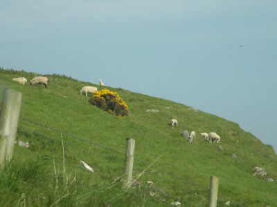 20160510_049.JPG
