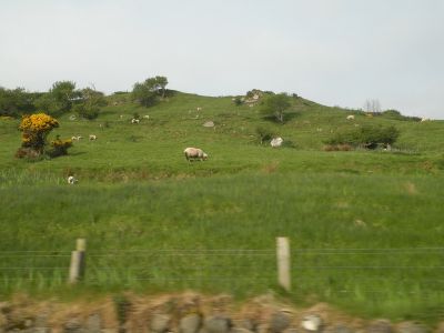 20160510_050.JPG