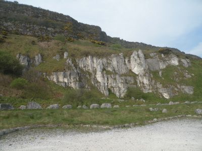 20160510_054.JPG