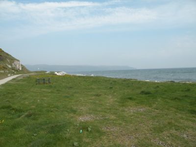 20160510_056.JPG