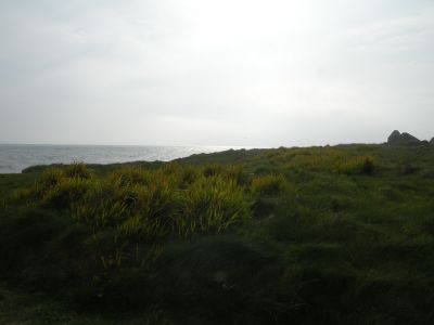 20160510_057.JPG