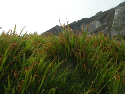 20160510_063.JPG