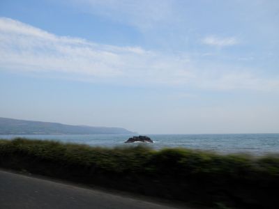 20160510_070.JPG