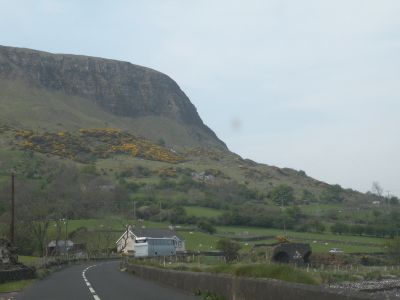 20160510_088.JPG