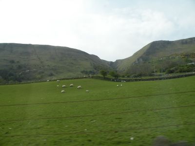 20160510_089.JPG