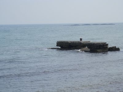 20160510_091.JPG