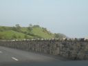 20160510_048.JPG