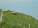 Filename=20160510_049.JPG
Filesize=132KiB
Dimensions=800x600
Date added=Jun 04, 2016 20160510_049.JPG