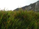 Filename=20160510_063.JPG
Filesize=202KiB
Dimensions=800x600
Date added=Jun 04, 2016 20160510_063.JPG