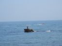 20160510_092.JPG