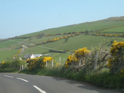 20160510_108.JPG