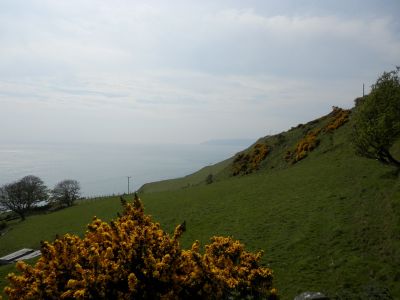 20160510_116.JPG
