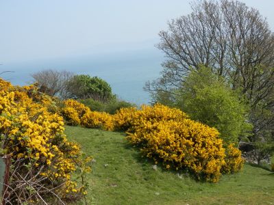 20160510_125.JPG