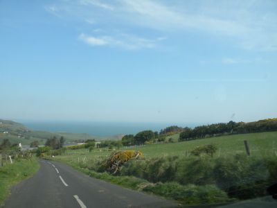 20160510_131.JPG