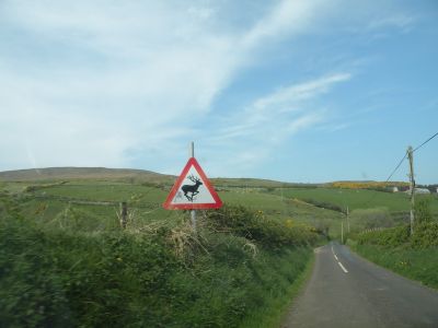 20160510_133.JPG