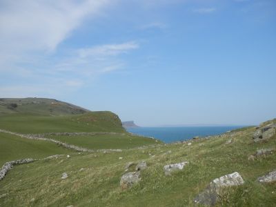 20160510_144.JPG