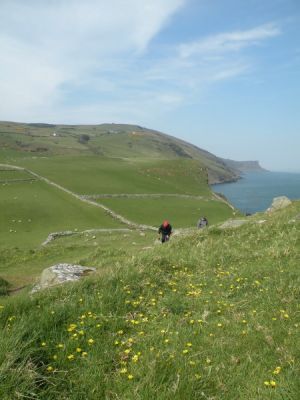 20160510_147.JPG