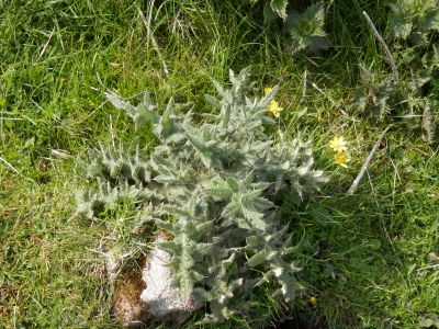 20160510_155.JPG
