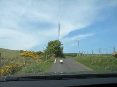 20160510_167.JPG