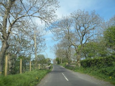 20160510_168.JPG
