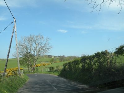 20160510_169.JPG