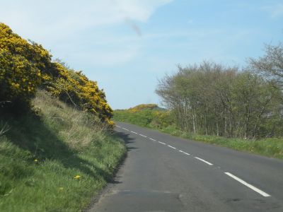 20160510_176.JPG