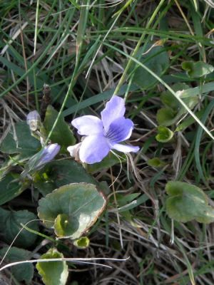 20160510_200.JPG