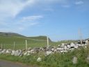 20160510_135.JPG