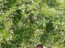 20160510_156.JPG