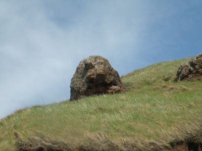 20160510_226.JPG