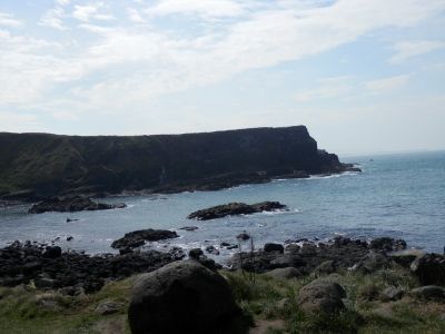 20160510_228.JPG