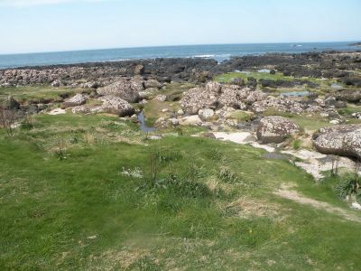 20160510_233.JPG