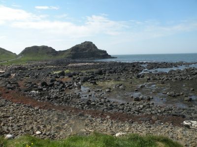 20160510_237.JPG