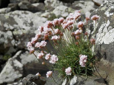 20160510_241.JPG