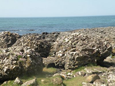 20160510_243.JPG