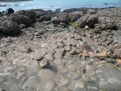 20160510_246.JPG