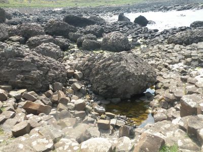 20160510_254.JPG