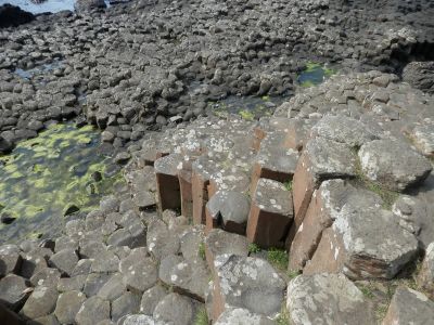 20160510_255.JPG