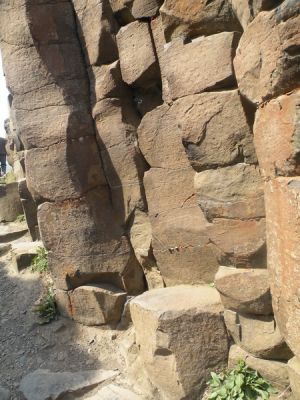 20160510_269.JPG