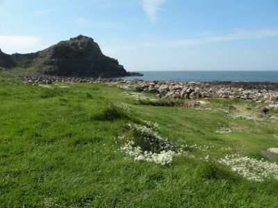 20160510_294.JPG