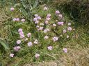 Filename=20160510_201.JPG
Filesize=354KiB
Dimensions=800x600
Date added=Jun 04, 2016 20160510_201.JPG