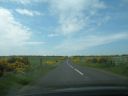 20160510_211.JPG