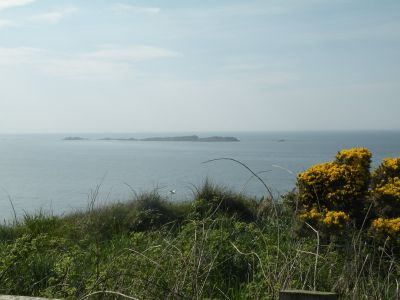 20160510_304.JPG