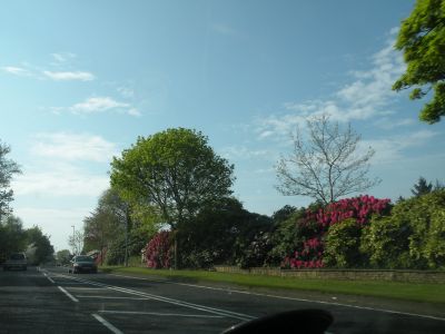 20160510_313.JPG