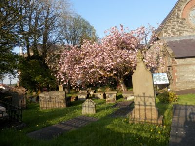 20160510_358.JPG